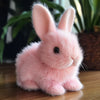 Bunby™ – Bring Home a Bunny Without the Cage | 50% OFF Special