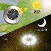 Solar Glow | LED Path Light