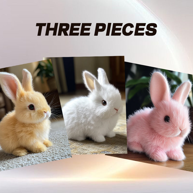 Bunby™ – Bring Home a Bunny Without the Cage | 50% OFF Special
