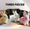 Bunby™ – Bring Home a Bunny Without the Cage | 50% OFF Special
