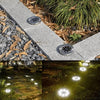 Solar Glow | LED Path Light